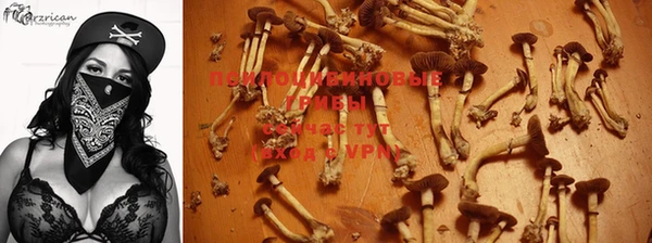 прущие крисы Белокуриха