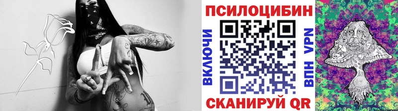 где купить наркоту  hydra ТОР  Псилоцибиновые грибы Magic Shrooms  Чудово 